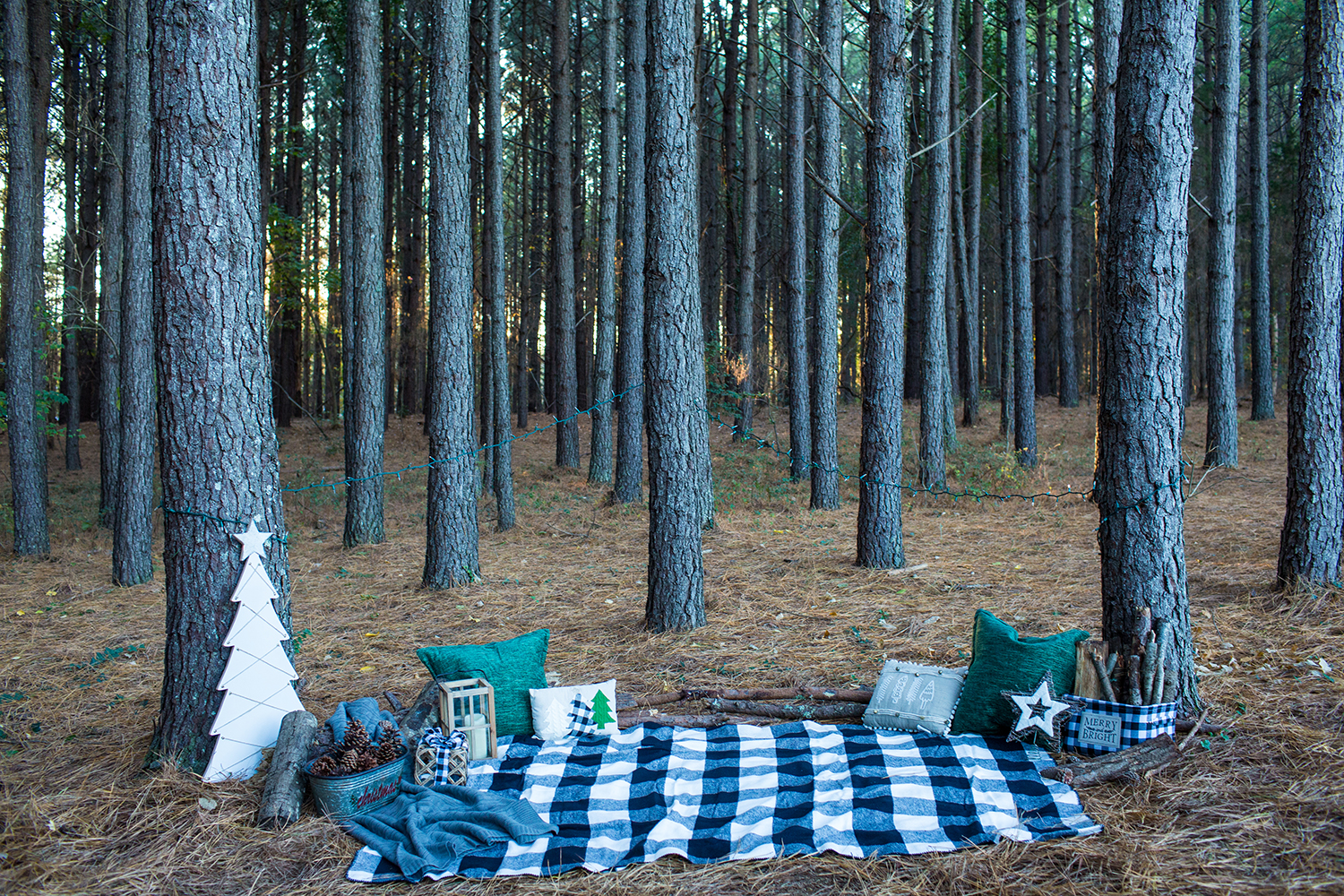 back drop setting a black and white plaid blanket with decorative green pillows and a wooden Christmas tree